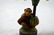 Pair of Monkey Candle Sticks - 5