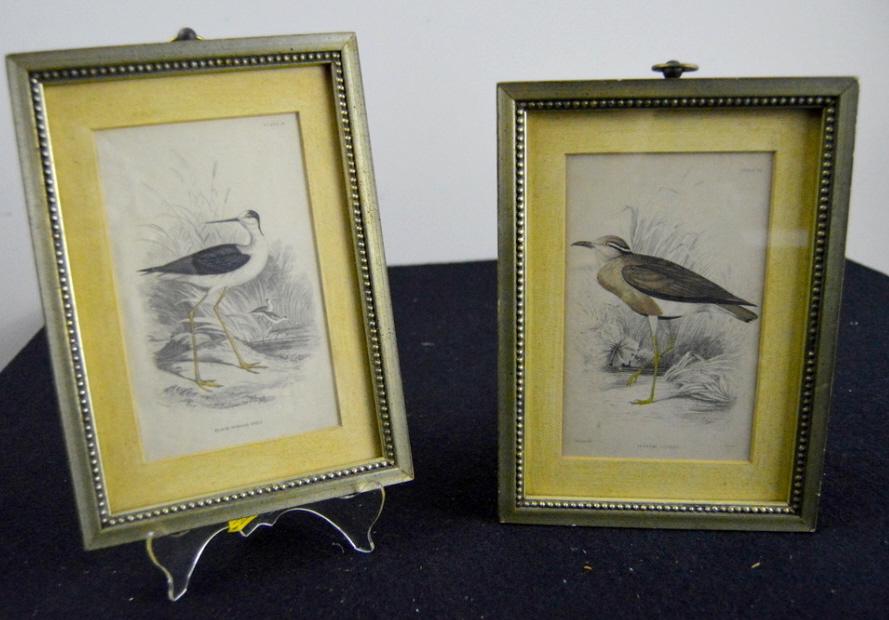 Pair of Bird Prints (1 of 5)