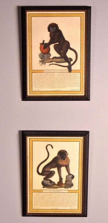 Two Monkey Prints (1 of 7)