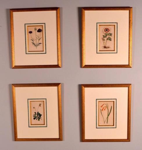 Four Botanical Prints (1 of 9)