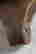 item-108386982=4