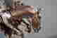 item-108387094=6