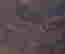 item-108387113=5