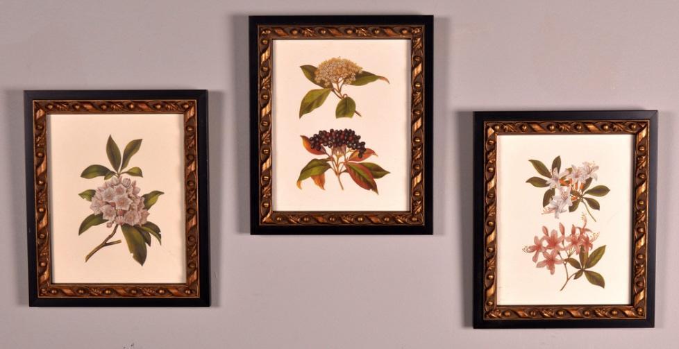 Three Botanical Prints (1 of 7)