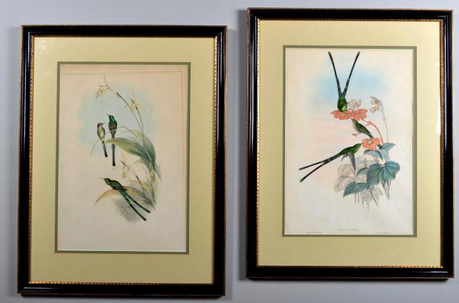 Two Gould Lithographs of Hummingbirds (1 of 5)