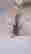 item-135978088=6