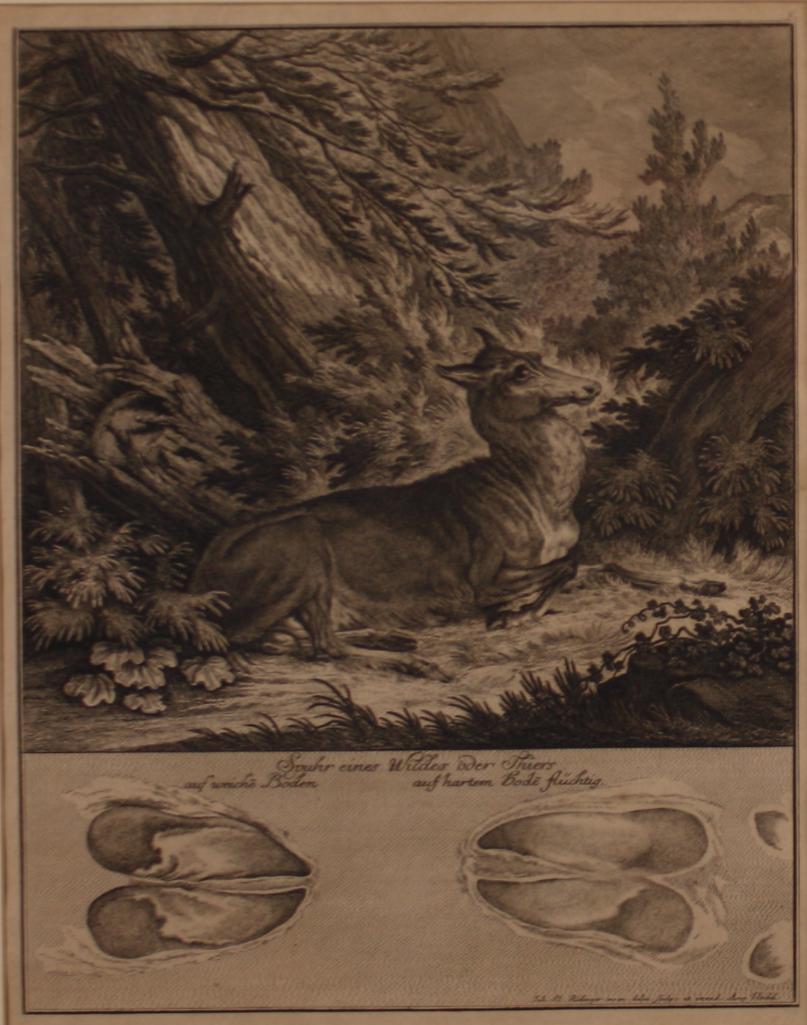 19th Century German School: Print of a Deer, Of a deer bedding, with detail of hoof, Lithograph Image: 14.5 x 11.5 in.; Frame: 21.5 x 18.5 in.