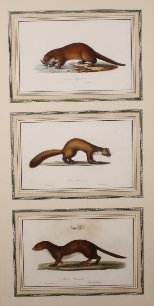 19th Century School (1 of 5)