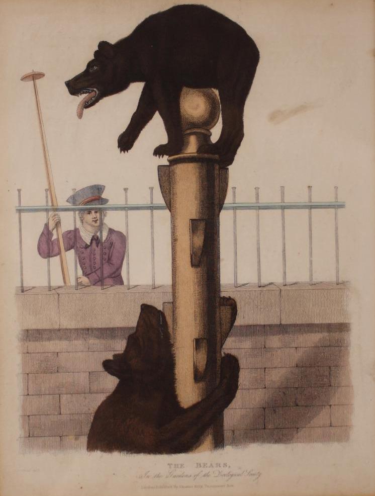 19th Century British School: Bears in a Zoo, Of bears on a post, with a man observing, Color Lithograph Image: 10.5 x 8 in.; Frame: 16 x 13 in.