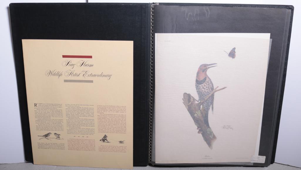 Ray Harm (American, 1926-2015) (1 of 19)