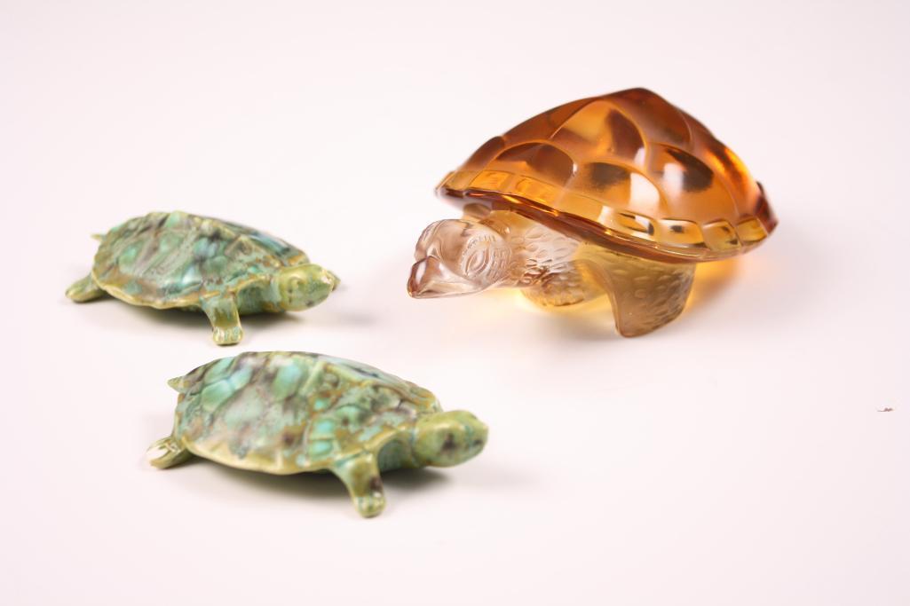 A Collection of Turtles (1 of 4)