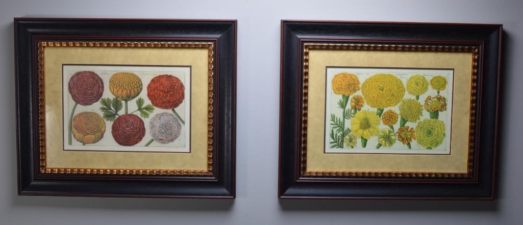 Basilius Besler (1561-1629 (1 of 9)