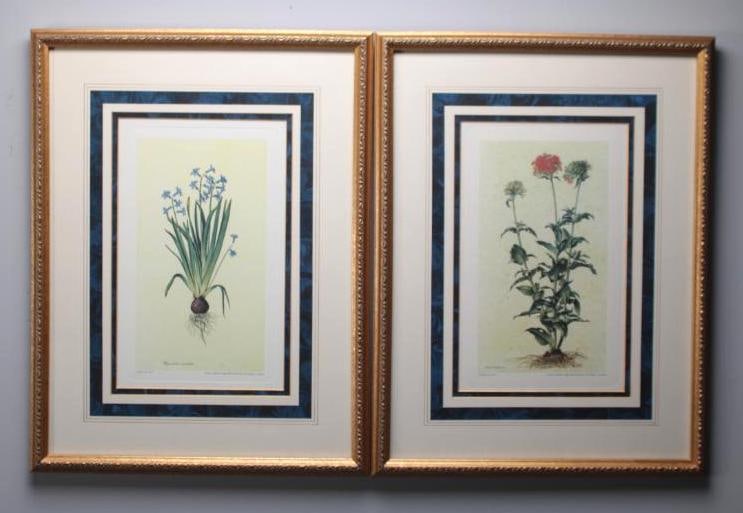 After Jacob Ligozzi (Italian, 1547-1627) (1 of 8)