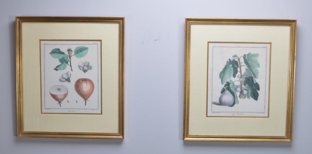 Duhamel du Monceau, Henri-Louis (1700 - 1782) (1 of 10)