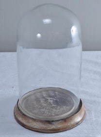 Glass Cloche on Wooden Base