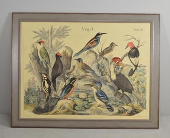 Decorative Print of Birds