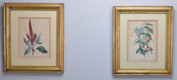 19th Century European School