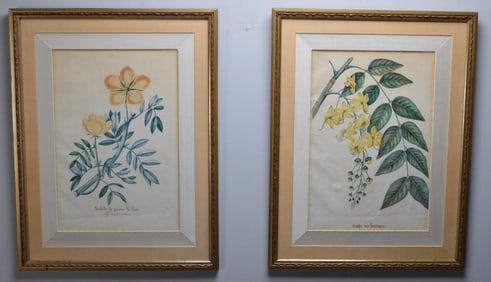 19th Century European School