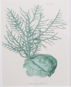 19th Century American School