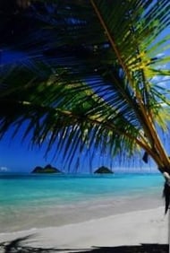 Peter Lik (Australian, B. 1959)