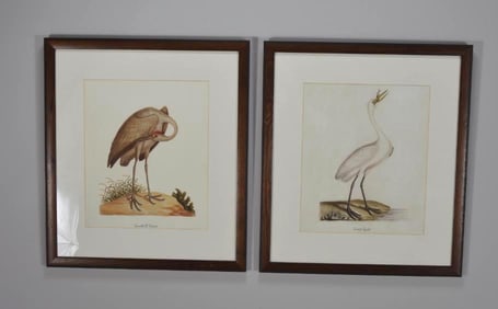 Pair of Bird Prints