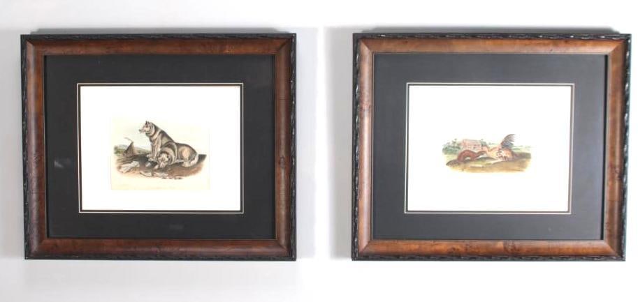 After John James Audubon (American, 1785-1851) (1 of 8)