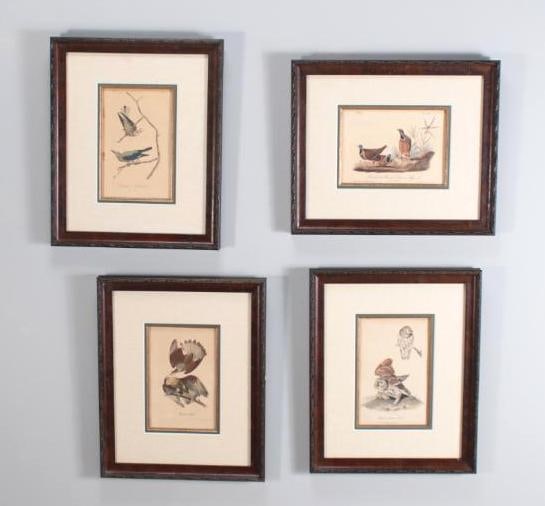 After John James Audubon (American, 1785-1851) (1 of 9)