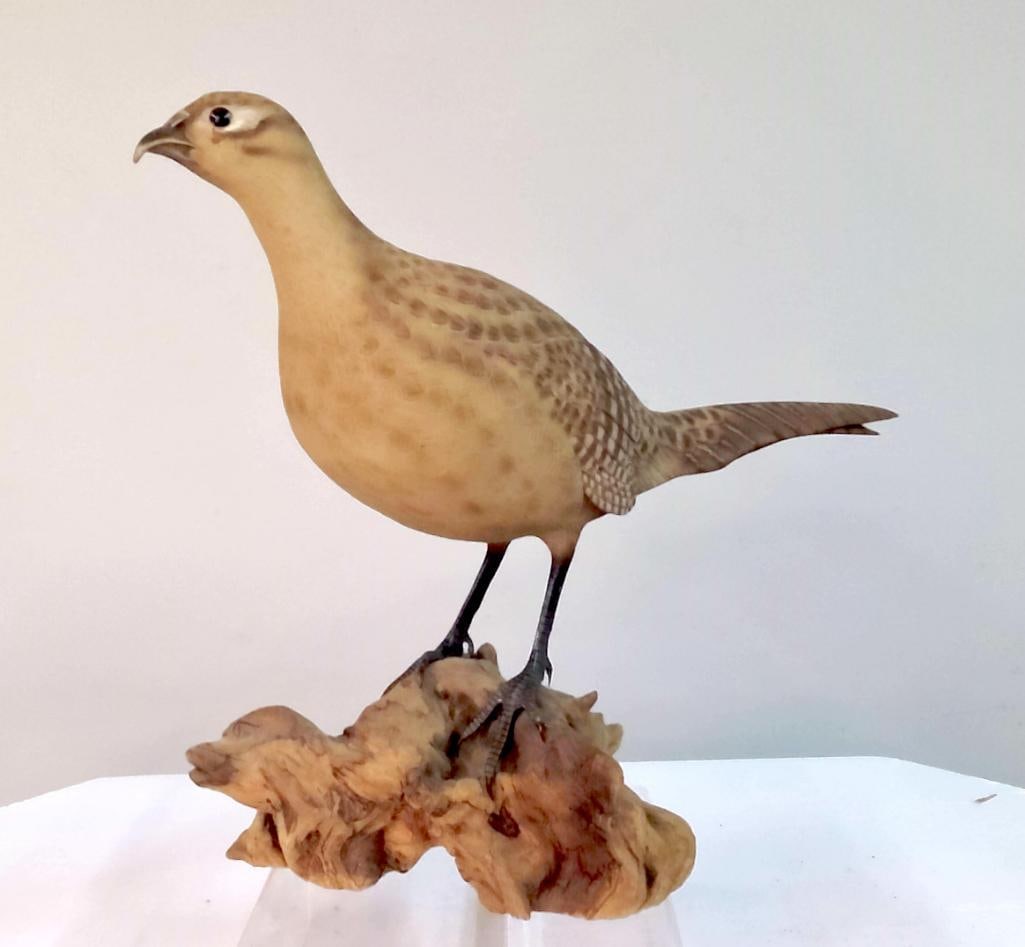 Robert Clark Carved & Painted Bird Sculpture on Burl Base (1 of 10)