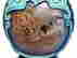 item-137061607=11