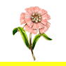 A WONDERFUL VINTAGE BROOCH ENAMEL CROWN TRIFARI FLOWER 2.25" BY 1.6"