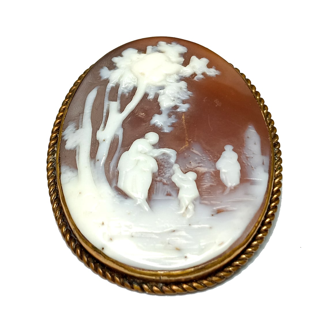 A VICTORIAN RARE SUBJECT  CARVED SHELL CAMEO BROOCH (1 of 4)
