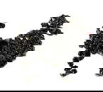 A BEAUTIFUL SIGNED SCHREINER DESIGNER VINTAGE BROOCH POODLE MID CENTURY