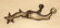 Canon City Single Spur - 2