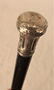 Presentation Walking Stick