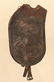 Early California Pommel Bags