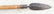 Apache Lance - 2