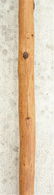 Apache Lance - 3