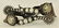 Rex Schnitger Spurs