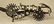 Rex Schnitger Spurs