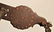 GS Garcia Spade and Bridle - 4