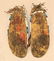 Sioux Beaded Moccasins - 3