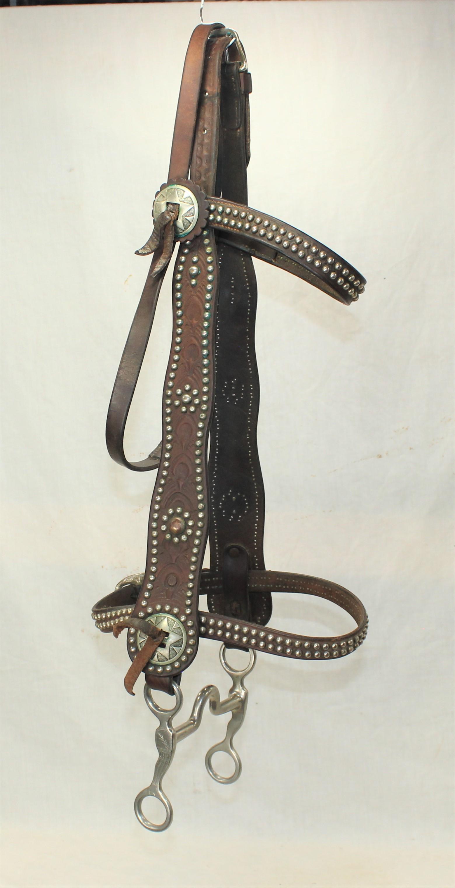 Harpham Bro's Bridle (1 of 3)
