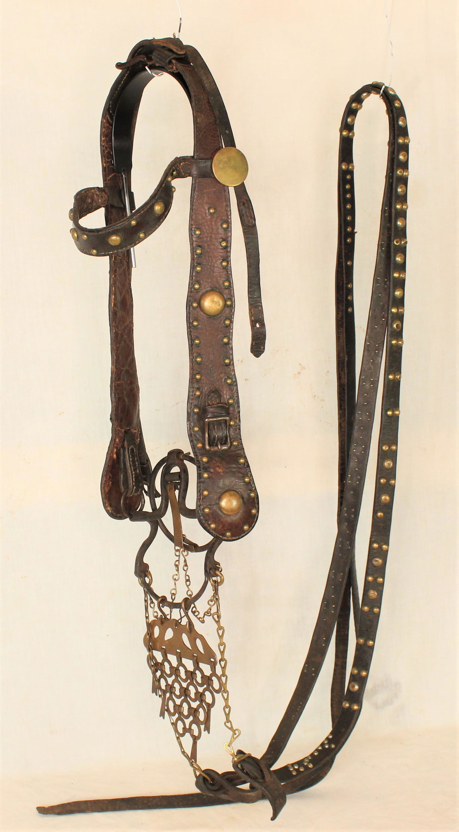 Indian Bridle (1 of 2)