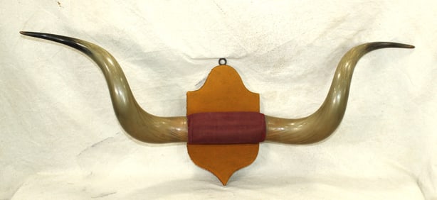 Longhorn Plaque