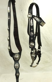 Beautiful Silver Bridle and Martingale