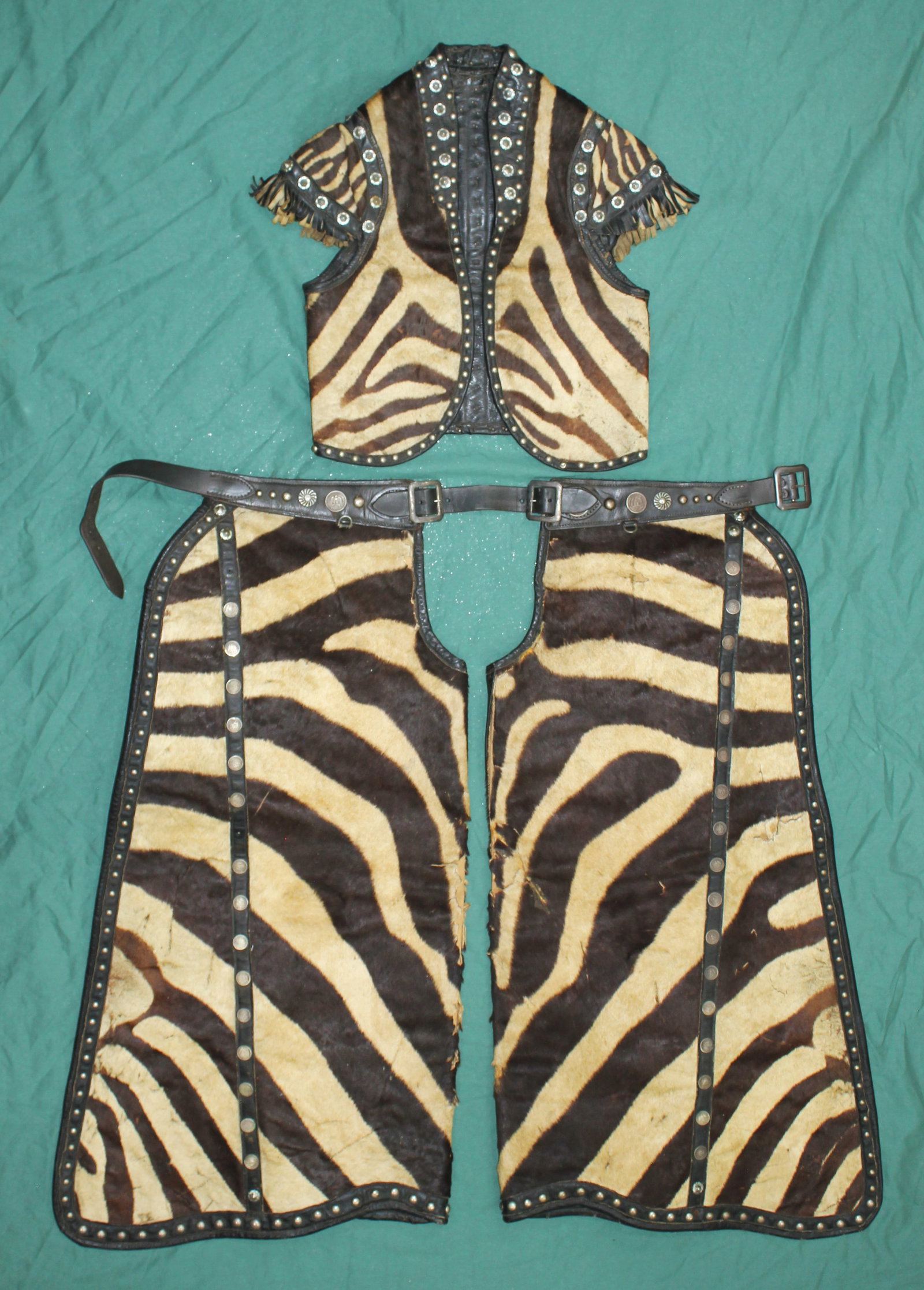 Rare Zebra Chaps and Vest Set: An extremely rare set of chaps and vest, made of zebra hide, very well done with studs, fringe and conchos. Batwing chaps with massive wings and good color. They have a great look, with some overall d