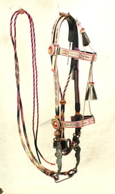 Magnificent Deerlodge Horsehair Bridle