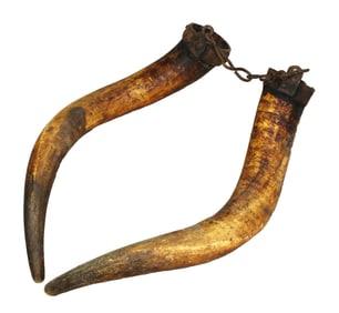 Massive set of very early tar horns measuring 21" in length and connected with hand forged steel and