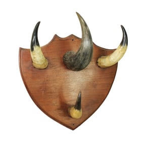 Showy desirable horn hat rack using three large buffalo horns on shield shaped wall plaque,