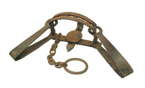 Highly desired massive bear trap with exposed teeth, offset jaws and Onieda Newhouse marked springs.